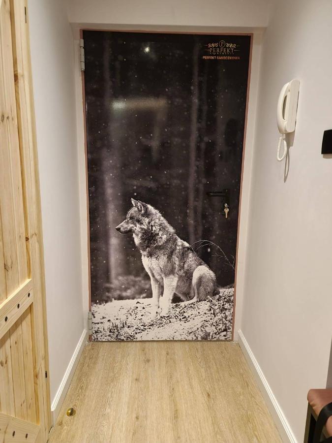 Perfekt Apartament Karpacz Extérieur photo